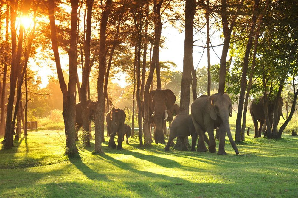 Three Cities Thorntree River Lodge Лівінґстон Екстер'єр фото